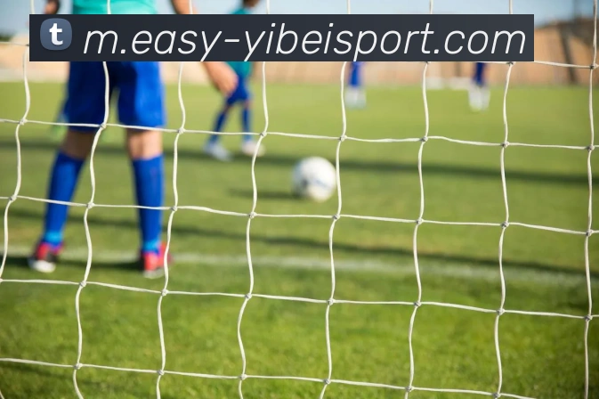 平台使命图